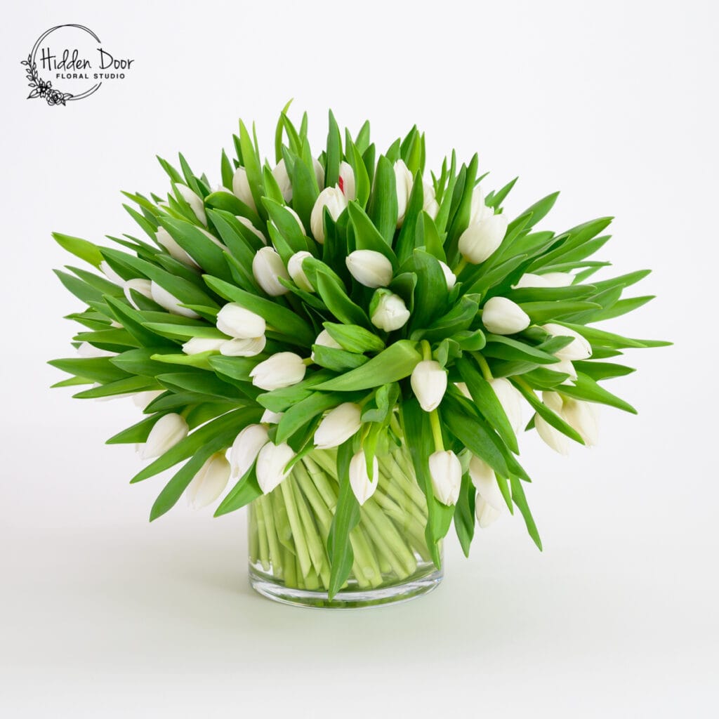 Heavenly Tulips