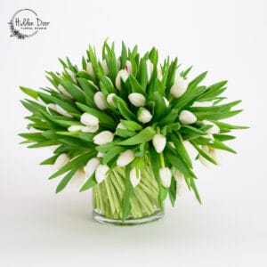 Heavenly Tulips