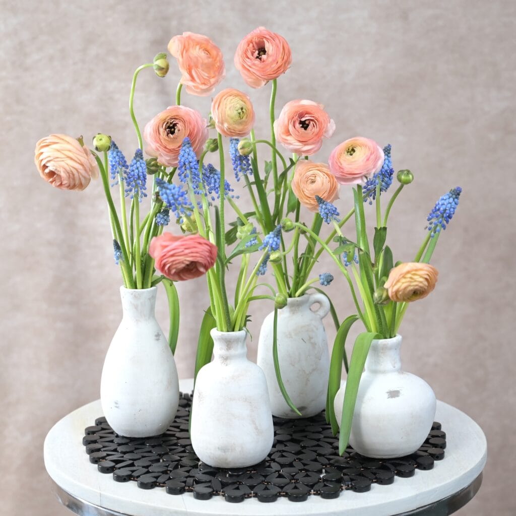 Bud Vase Collection