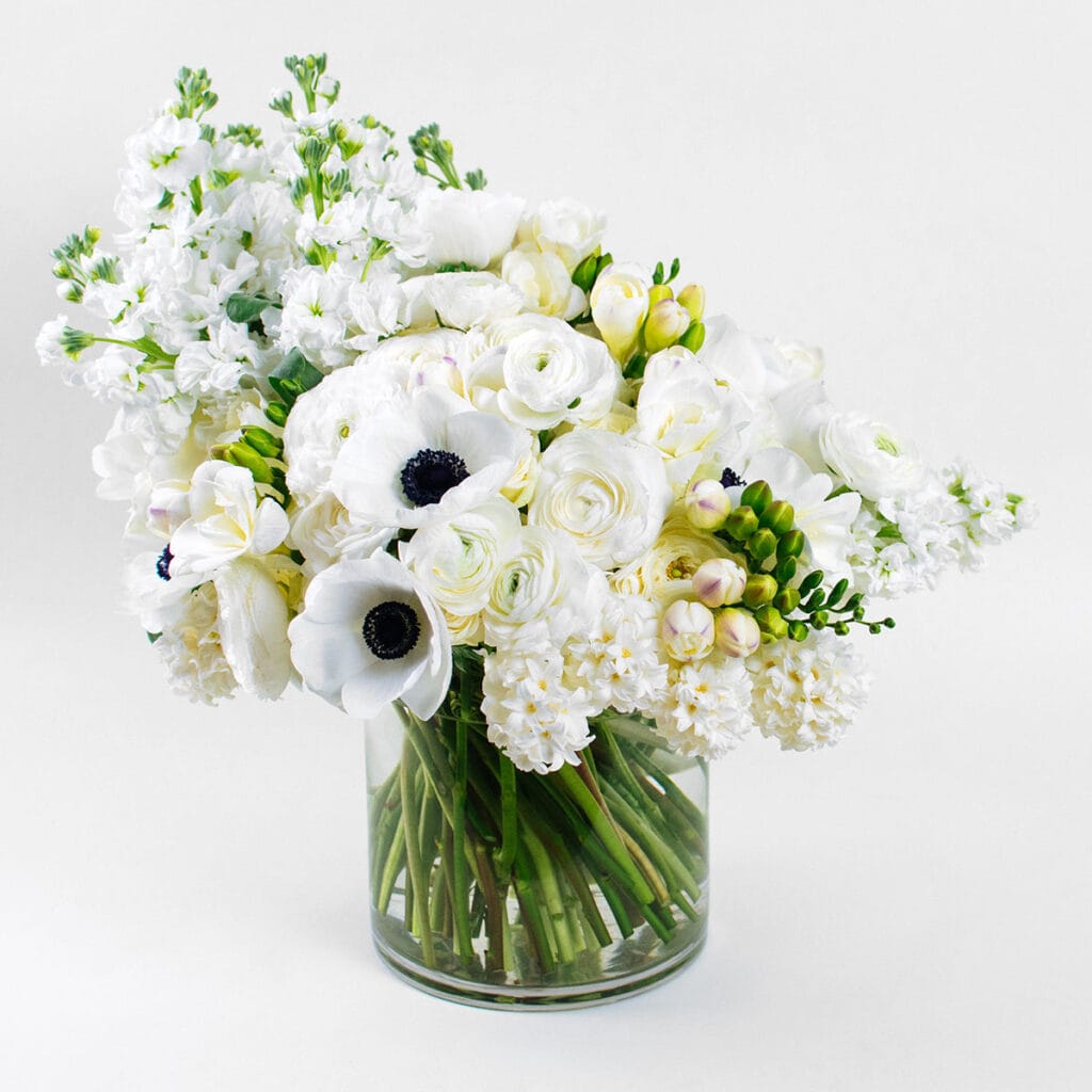 Elegant White