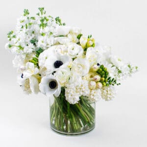 Elegant White